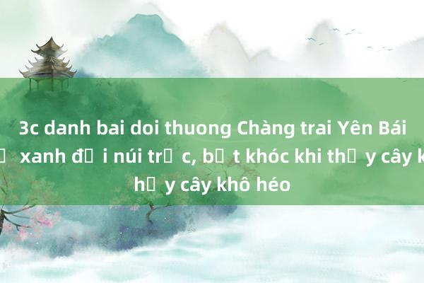3c danh bai doi thuong Chàng trai Yên Bái mê phủ xanh đồi núi trọc, bật khóc khi thấy cây khô héo